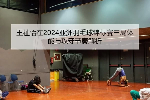 王祉怡在2024亚洲羽毛球锦标赛三局体能与攻守节奏解析