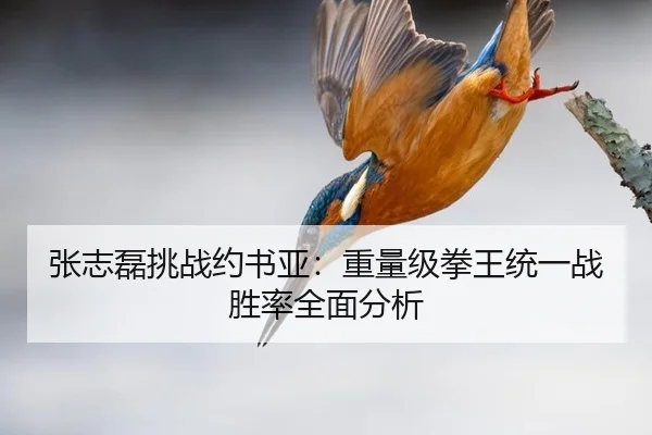 张志磊挑战约书亚：重量级拳王统一战胜率全面分析
